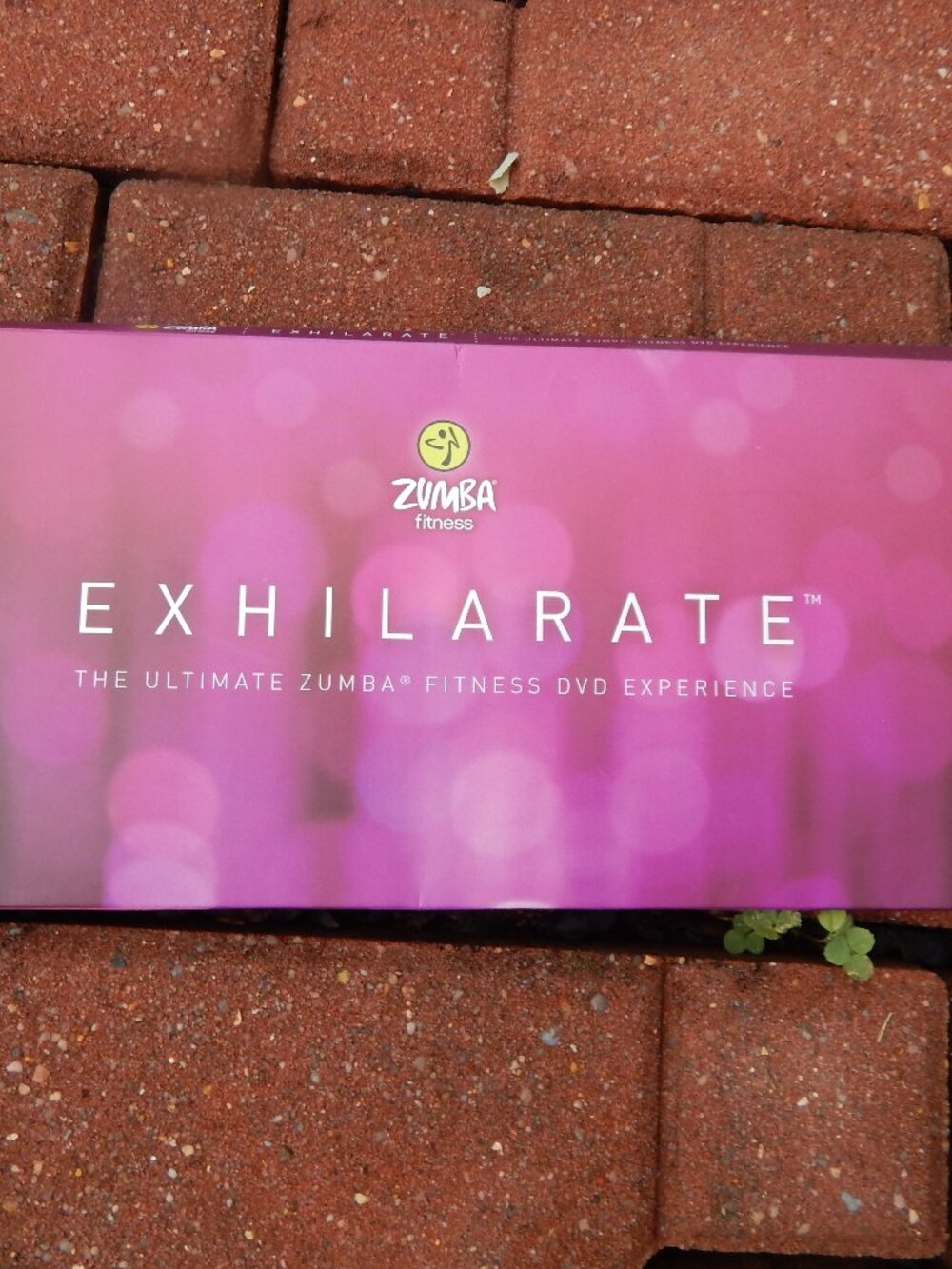 Zumba Fitness Exhilarate Body Shaping System 7 DVD Workout Set Dance Exercise